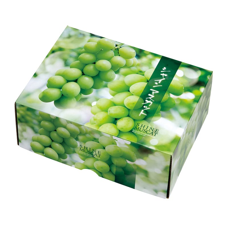 PREMIUMイヌトウキ&マカ 180粒 1袋　新品　未開封品 Amazon | 第一精工 ウキ止めゴム 透明 小 31084 クリア | 第一