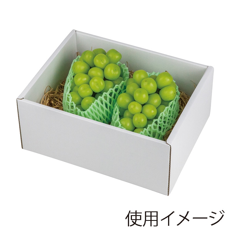 4,680円6,980円２箱10,000円　希望で脱粒シャイン1kg1,000円 シャインマスカット2房箱（1房600gから699g） | 石原果樹園