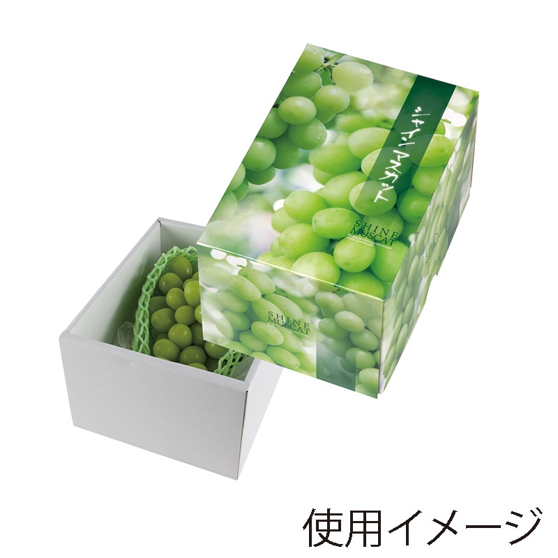 パセコ フルセット　超美品‼️ まとめ売り‼️ Ecorce - Hontakasagoya (本高砂屋 E30 [本髙砂屋 エコルセ]) | Buy