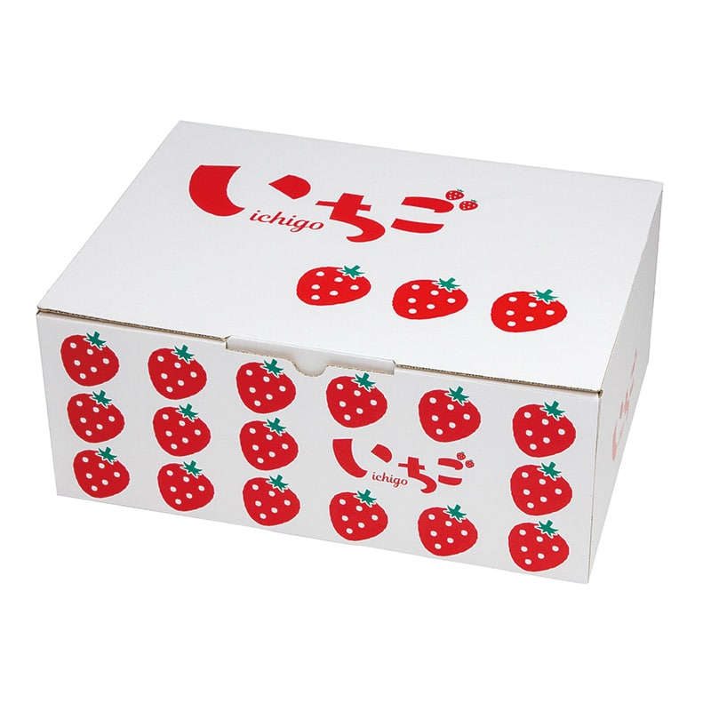 （柿の箱）こだわりの柿/50枚入（L-2206） ギフト箱 こだわりの柿 L-2206 25枚&frasl;束（ご注文単位2束）直送品