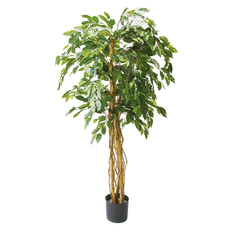 ポピー 造花 ベンジャミントリプルバイン 1.8m GLP-1190 1個(ご注文単位1個)【直送品】