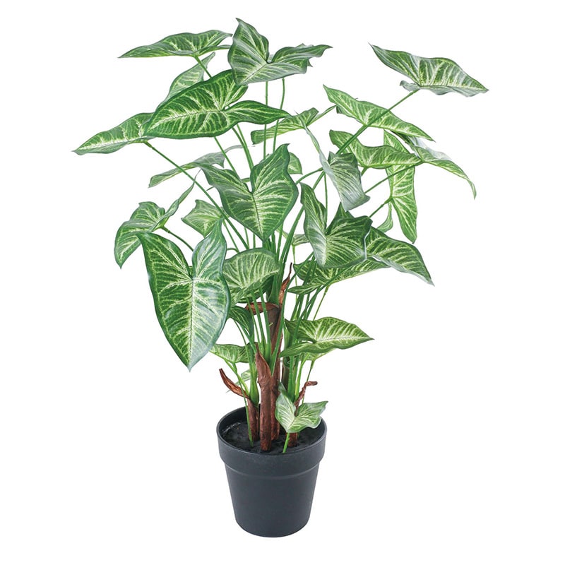 ポピー 造花 シンゴニウムポット GLA-1542 GR 1個(ご注文単位1個)【直送品】