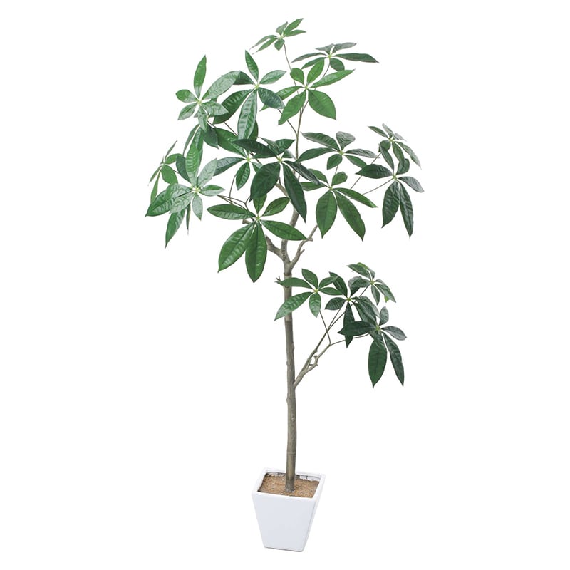 ポピー 造花 パキラツリー GLA-1546 GR 1個(ご注文単位1個)【直送品】