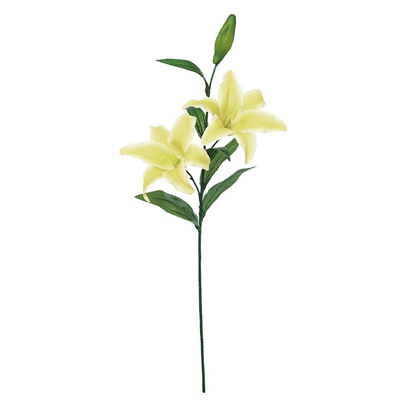 百合の花 m803.jpg