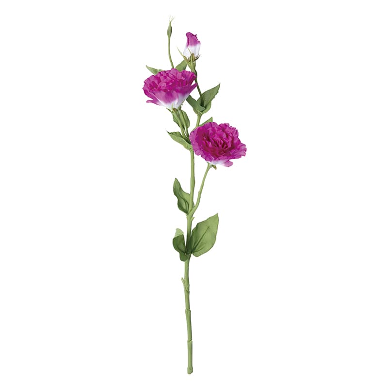 ハイドランジア　リシアンサス リシアンサスってどんな花？トルコキキョウとなにが違うの？種類