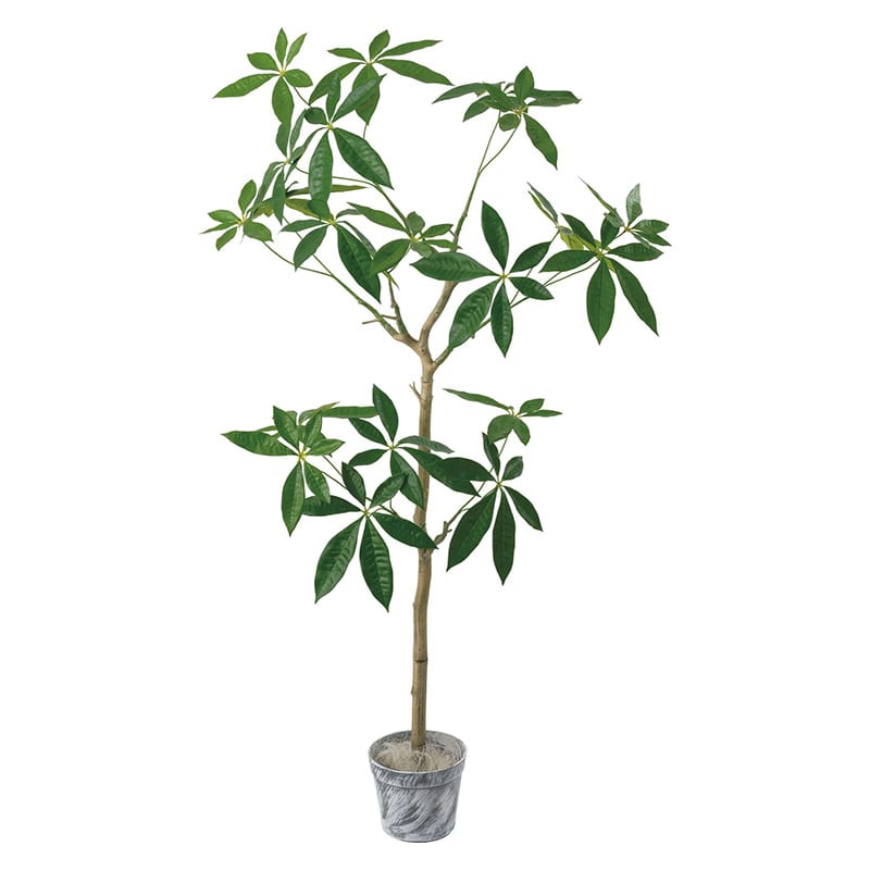 コーヒーツリー 80953 ポッシュリビング フェイクグリーン コーヒー