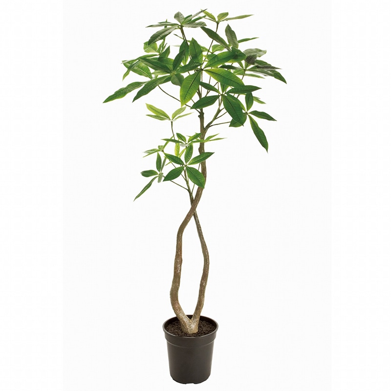 東京堂 造花 パキラ 4F FG22000 グリーン 1台(ご注文単位1台)【直送品】