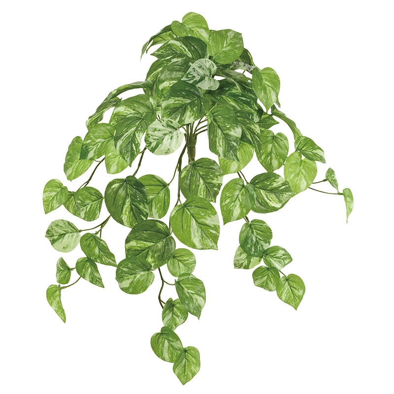 東京堂 造花 マーブルポトスバイン FG9013 グリーン 1本(ご注文単位1本)【直送品】