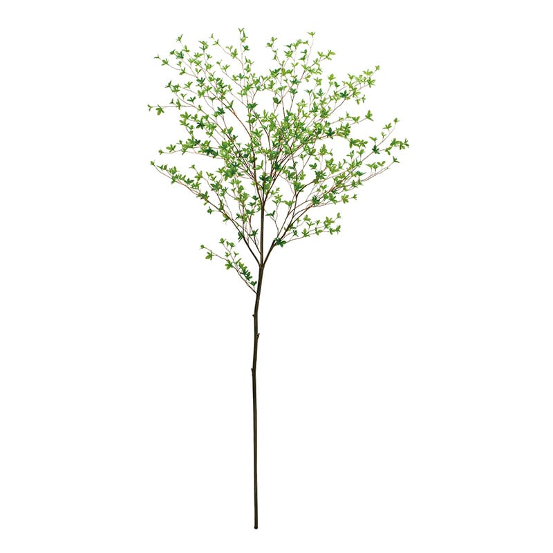 ドウダンツツジ 確認用 ﾄﾞｳﾀﾞﾝﾂﾂｼﾞﾌﾞﾗﾝﾁ: フェイクグリーン ｜ YDMオンラインストア ｜ 横浜