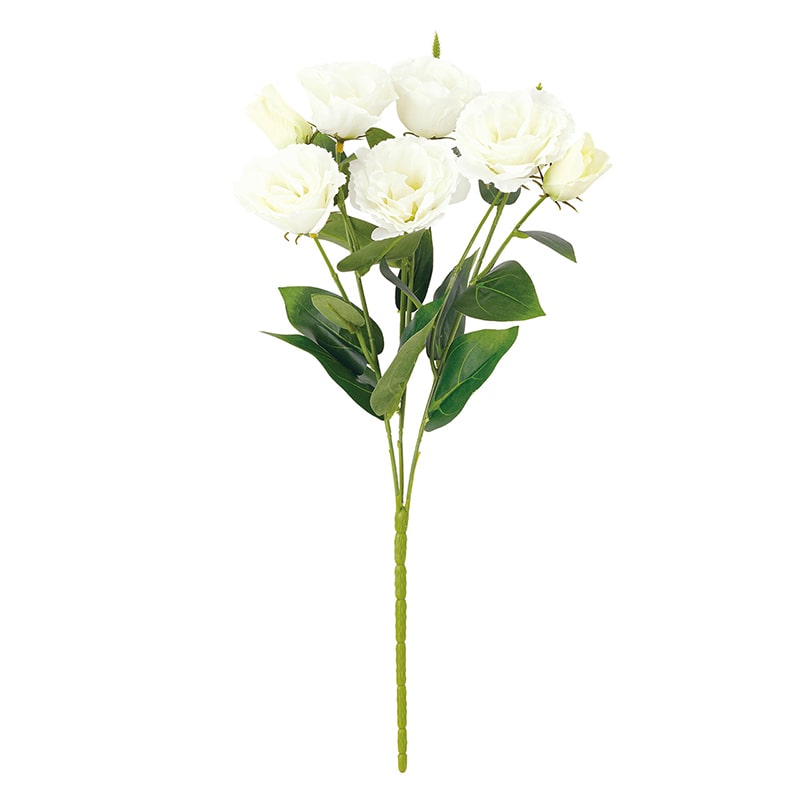 ハイドランジア　リシアンサス ハイドランジア リシアンサス リシアンサス（トルコキキョウ