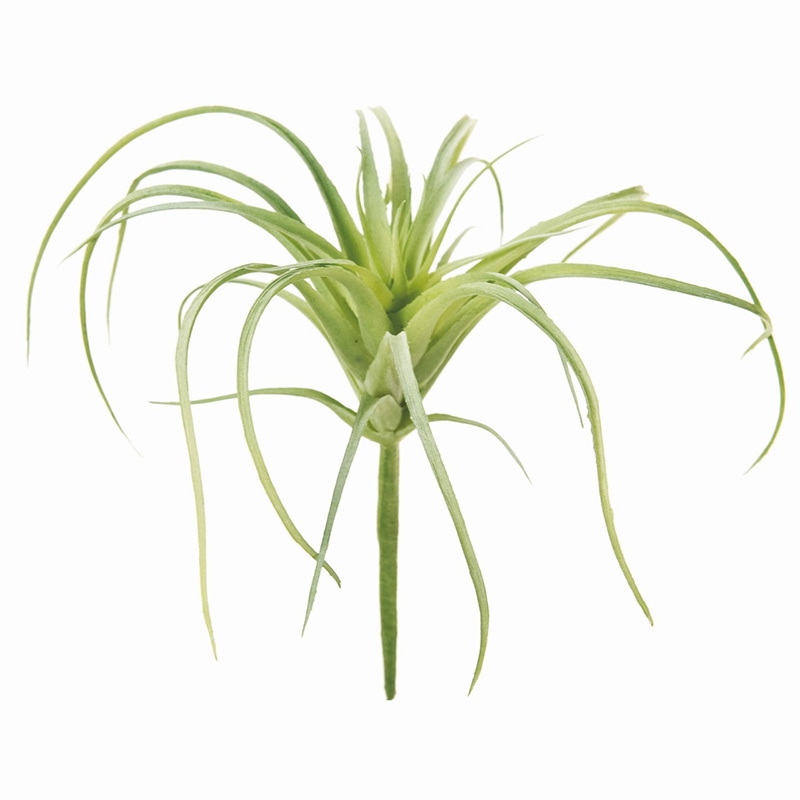 東京堂 造花 エアプランツ FG1364 グリーン 1本(ご注文単位1本)【直送品】