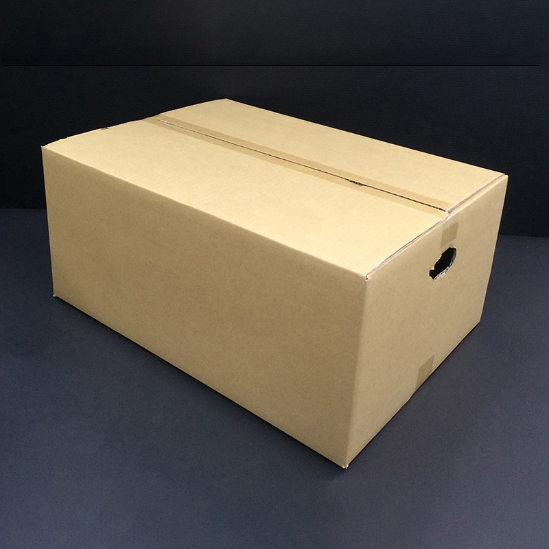 アイリスオーヤマ ダンボール 10枚セット 40×55×25 M-DB-120C 1個（ご