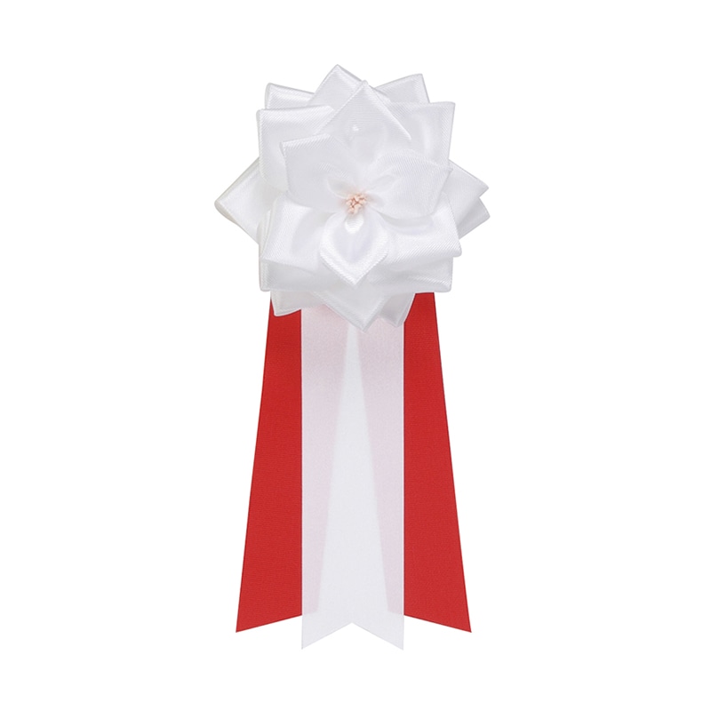 専用　赤白リボン 専用 赤白リボン 専用 赤白リボン 専用 赤白リボン K-2