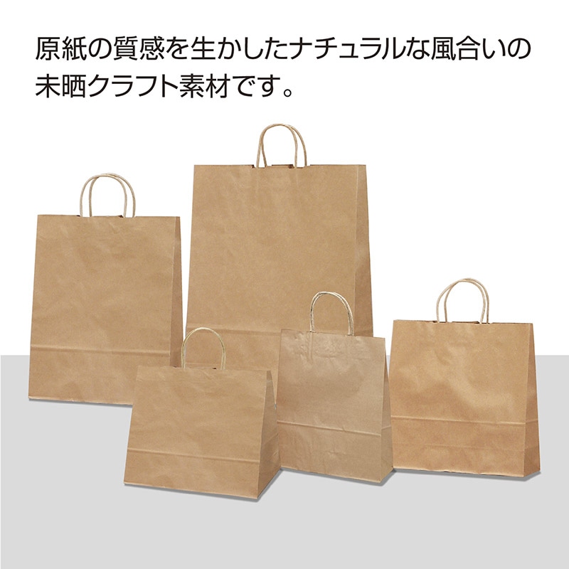 ササガワ 手提げ紙袋 未晒小 50枚 50-5101 1包（ご注文単位1包）【直送