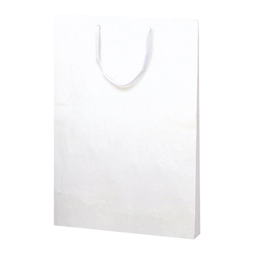 ササガワ 手提げ袋 額縁用　335×45×460mm 50-6800　10枚 1包（ご注文単位1包）【直送品】