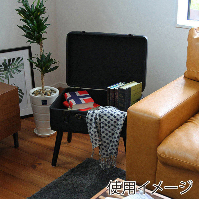 市場 収納スツール Pick Stool ブラック ST-3263BKBK 1台（ご注文単位1