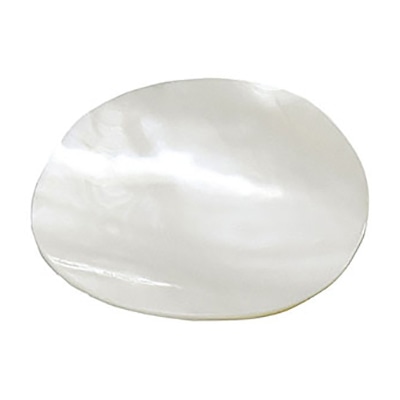 ヤマコー シェル丸皿 パール 21599 1個(ご注文単位1個)【直送品】