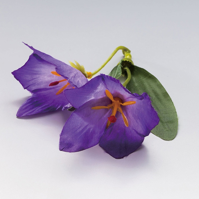 ヤマコー 四季の花ごよみ キキョウ 100個入 64256 1パック(ご注文単位1パック)【直送品】