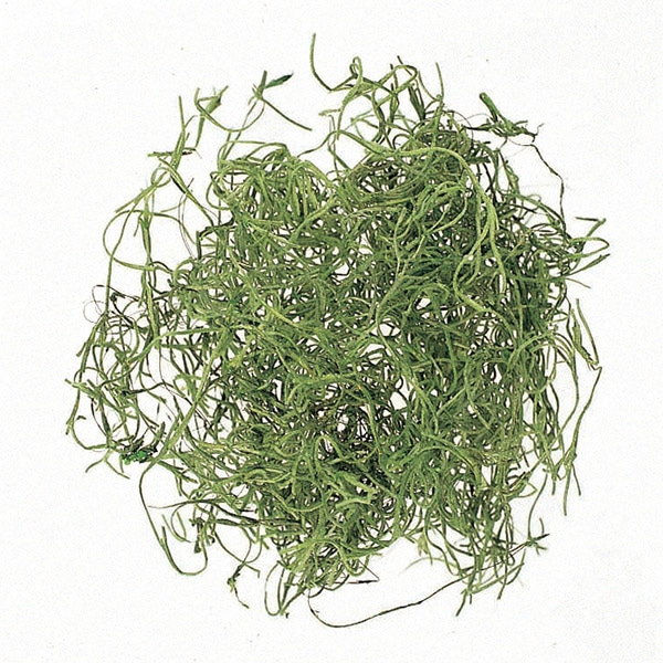 大地農園 モス スパニッシュモス プロ仕様 1kg 61067-700 グリーン 1袋