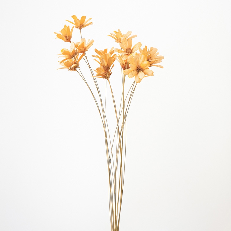 46 47点セット 大地農園 プチフラワー アネモネフラワー プリザーブド