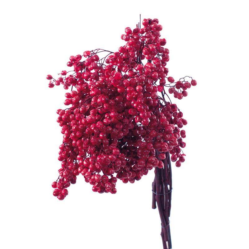 紅葉様 アベンチュリン 專用ページ 紅葉様 アベンチュリン 專用ページ カード検索 ｜ Z/X