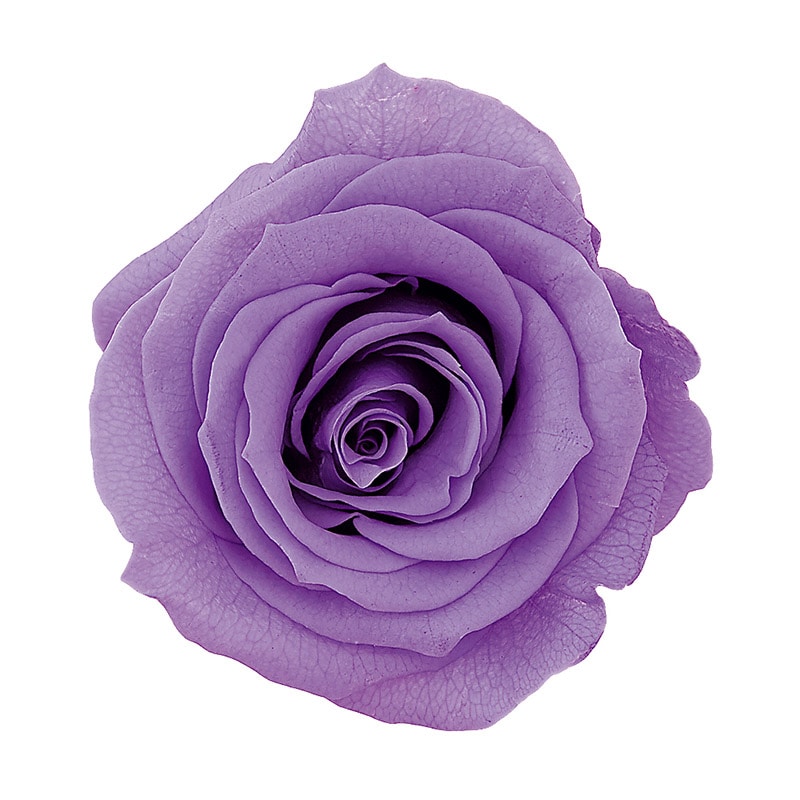 プリザーブドフラワー バラ・ローズの通販ならシモジマ【公式】