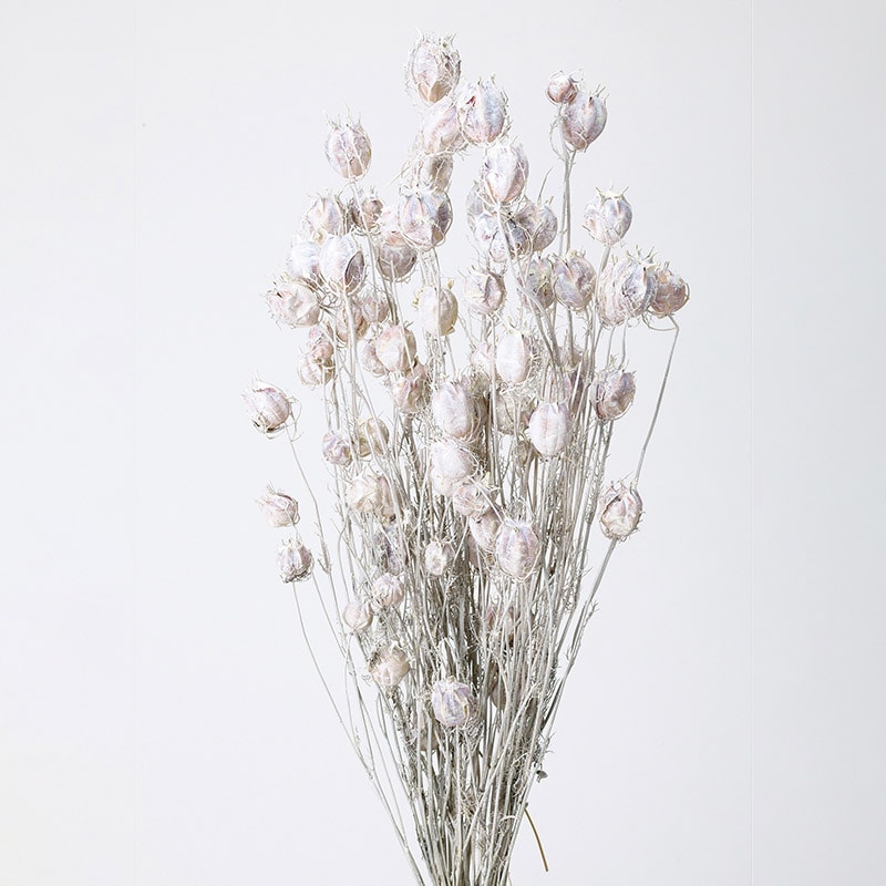 大地農園 ナチュラルドライフラワー フーセンポピー 10060-012 ウォッシュホワイト 1束(ご注文単位1束)【直送品】