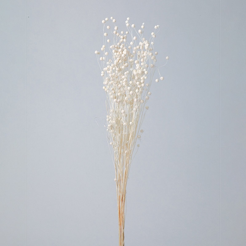 大地農園 カラードライフラワー リンフラワー 35010-011 白 1束(ご注文単位1束)【直送品】
