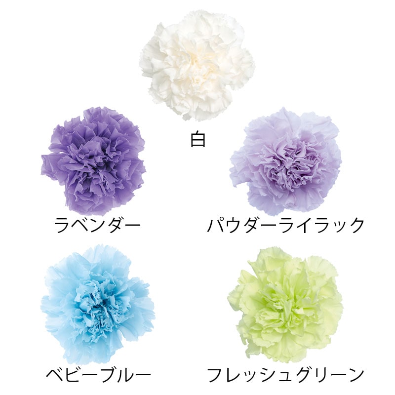 大地農園 プリザーブドフラワー カーネーション 02380-411 ラベンダー