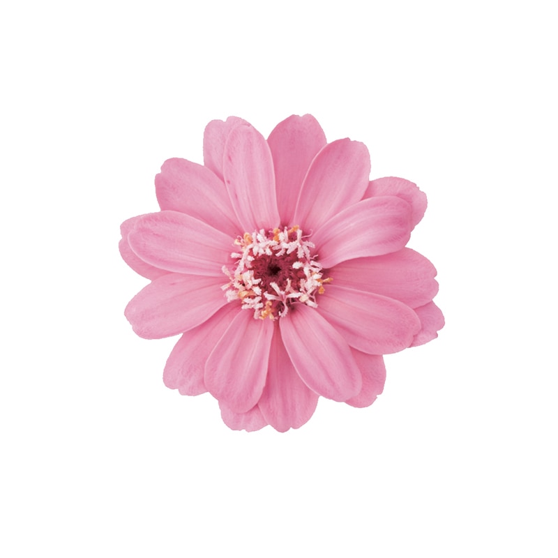 専用様  専用 Fleuri(フルリ) 専用⭐︎フルリ 6点セット 製品一覧 | 【公式】Fleuri（フルリ）