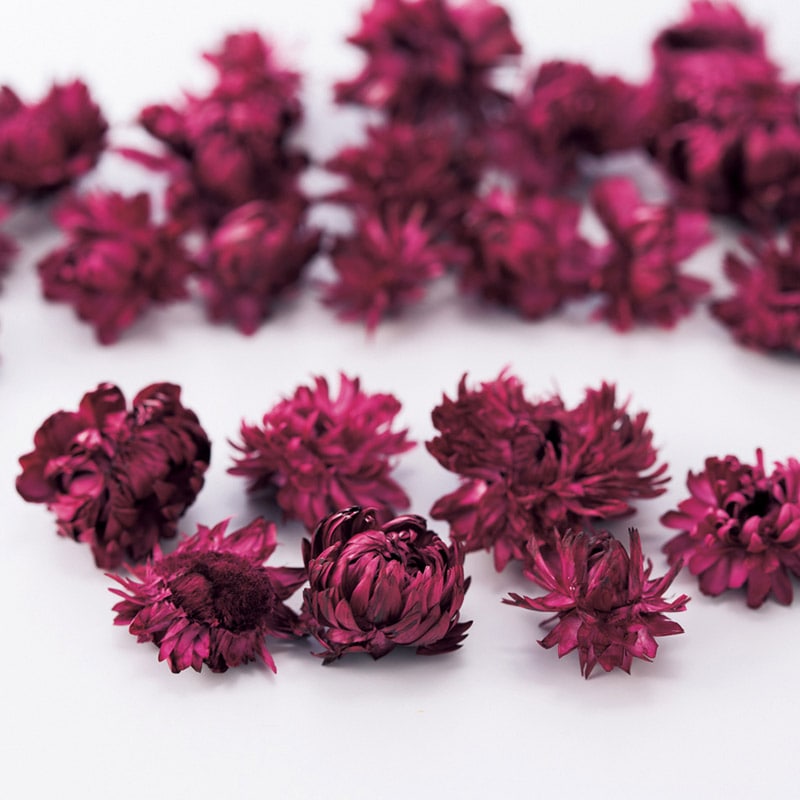 大地農園 カラードライフラワー ヘリクリサム　ヘッド 32130-471　ワインレッド 1袋（ご注文単位1袋）【直送品】