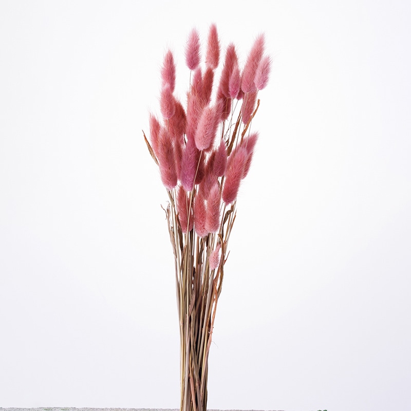 ドライフラワー ドライフラワー レースフラワー MIX 封入 花材 四角ケース入り 4