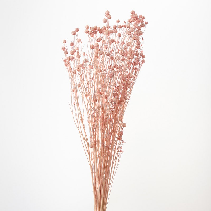 大地農園 カラードライフラワー リンフラワー 35010-161 シルキーピンク 1束(ご注文単位1束)【直送品】