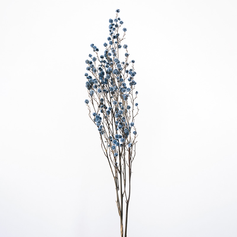 大地農園 カラードライフラワー スターリンジャー 40400-691 ウォーターブルー 1束(ご注文単位1束)【直送品】