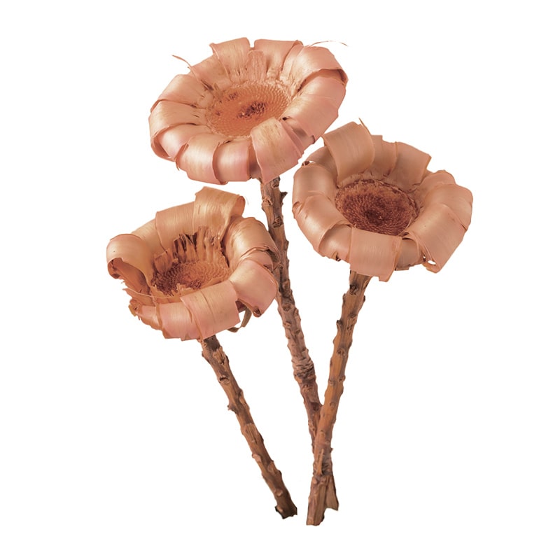 大地農園 ワイルドフラワー ネリフォリアベース 40060-100 ナチュラルピンク 1束(ご注文単位1束)【直送品】