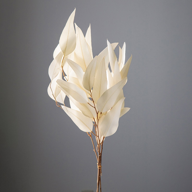 ドライフラワー 壁掛け用葉デザイン はっぱ丸 人気キャラクター ドライ